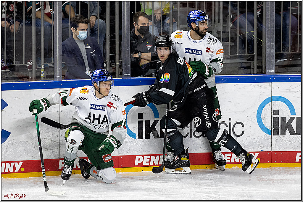 PENNY DEL;  Koelner Haie - Augsburger Panther; Koeln, 19.09.2021